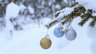 Snowy Spruce Branch and Three Christmas Balls