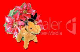 Poinsettia Christmas Star with deer moose