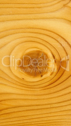 Brown larch wood background
