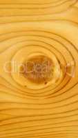 Brown larch wood background