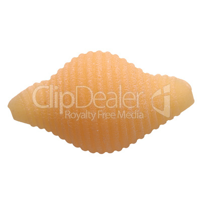 Conchiglie (Shell) Italian pasta isolated over white