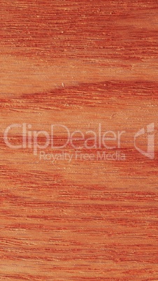 Red oak wood background