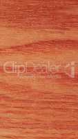 Red oak wood background