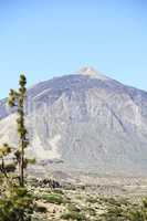 teide