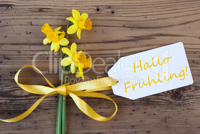 Yellow Narcissus, Label, Hallo Fruehling Means Hello Spring