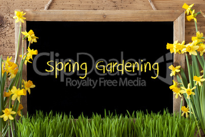 Flower Narcissus, Chalkboard, Text Spring Gardening