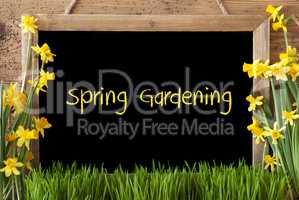 Flower Narcissus, Chalkboard, Text Spring Gardening