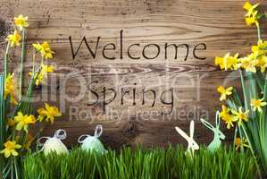 Easter Decoration, Gras, Text Welcome Spring