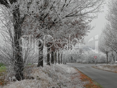Strasse im Winter Strasse im Winter