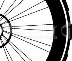 Bike wheel isolated on white background. bicycle with wheels tyre and spokes