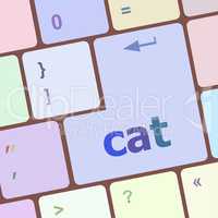 cat word on computer pc keyboard key
