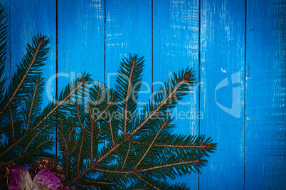 Blue wooden festive background with spruce branch in the corner