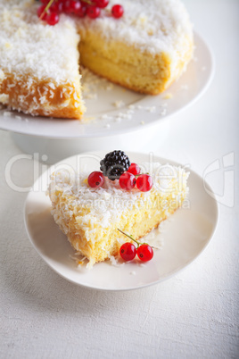 Piece of Homemade coconut cake on a white plate