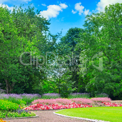 summer park with beautiful flowerbeds