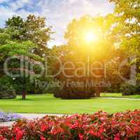 summer park with beautiful flowerbeds