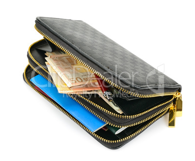 wallet with documents and money