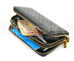 wallet with documents and money