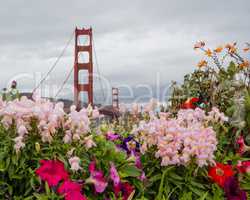 Golden Gate Bridge and flowers