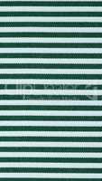 Green Striped fabric texture background - vertical