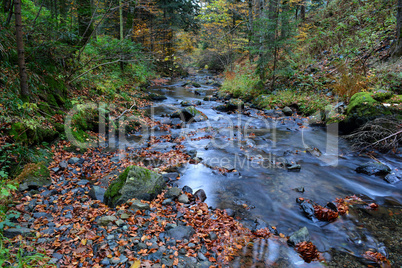 Autumn mountain creek