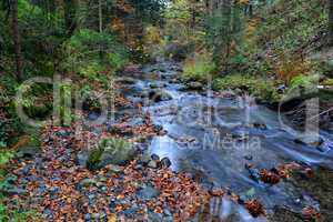 Autumn mountain creek