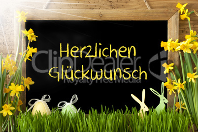 Sunny Narcissus, Egg, Bunny, Herzlichen Glueckwunsch Means Congratulations
