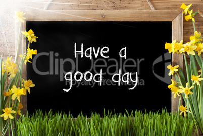 Sunny Spring Narcissus, Chalkboard, Text Have A Good Time