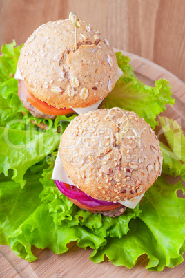 Cheeseburger with tomato, onion and green salad