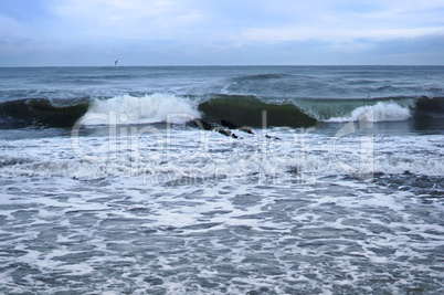 sea, waves, wind