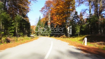 Driving through Autumn Woods, Mountain, Goc, Oktobar