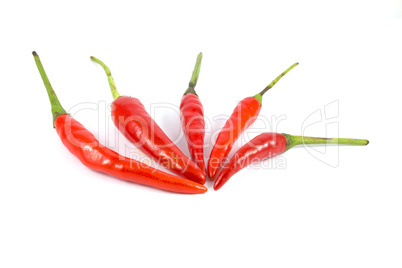 Red chili peppers on a white background.