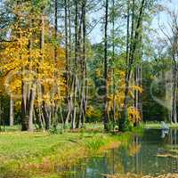 Scenic autumn landscape: park and ornamental lake