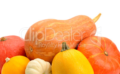 ripe pumpkins isolated on white background