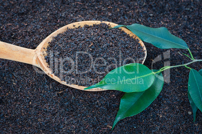 Dry tea in a wooden spoon with green leaves