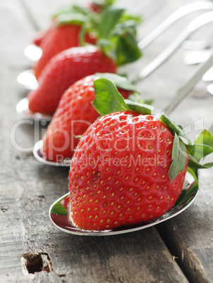 Strawberries, fresh and tasty