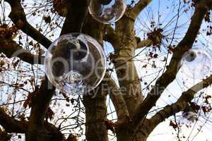 Glaskugeln auf dem Weihnahtsbaum