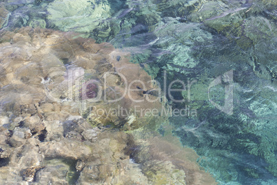 Transparent shallow water with reef rocky bottom, fading away to deeper area at top photo