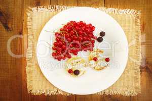 cheese cakes with berries of red currant