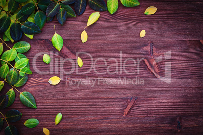 Wooden background with autumn leaves