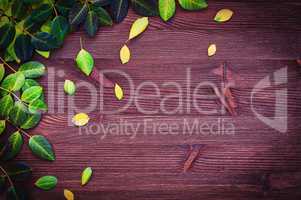 Wooden background with autumn leaves