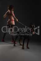 Sexy girl in lace lingerie with big dog in studio