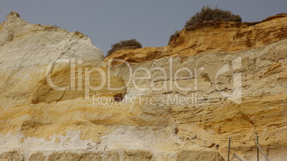 Geology Of Sandstone Rockface