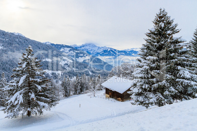 Winterlandschaft in der Schweiz