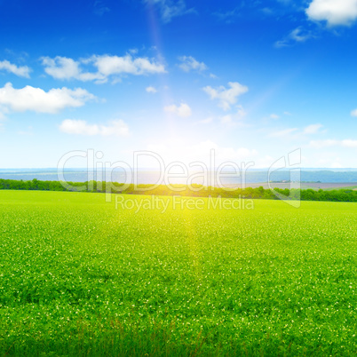 field, sunrise and blue sky