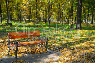 beautiful autumn park with paths and benches