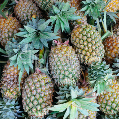 bright background of fresh juicy pineapples