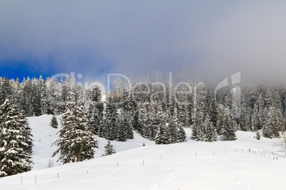 Winterlandschaft in der Schweiz