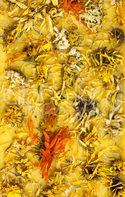 Handmade organic pure soap with calendula herbals flowers Handmade organic pure soap with calendula herbals flowers