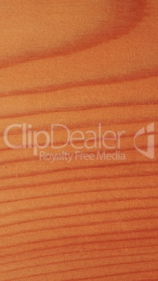 Larch wood background