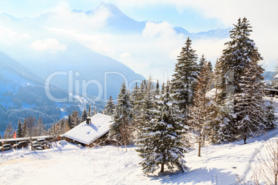 Winterlandschaft in der Schweiz